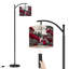 Lampe sur pied à arc avec abat-jour ajustable Tour Eiffel Roses rouges Lampe sur pied 3 températures de couleur à intensité variable avec interrupteur au pied pour la chambre à coucher