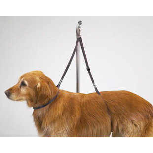 Harnais pour table nylon dog