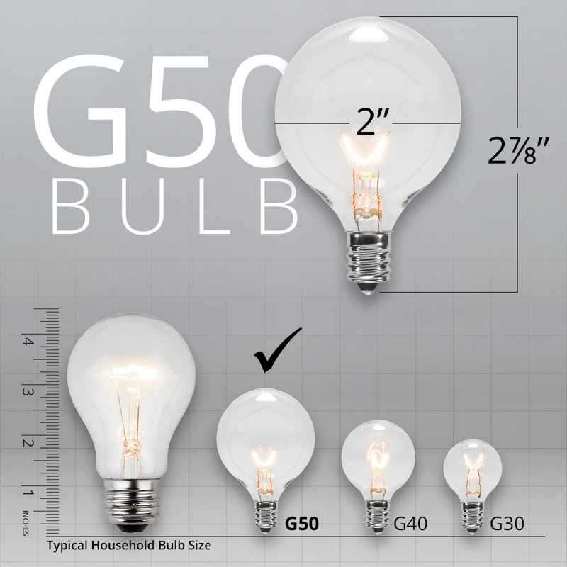 Outdoor 25 - Bulb 300'' Plug-in Globe String Light