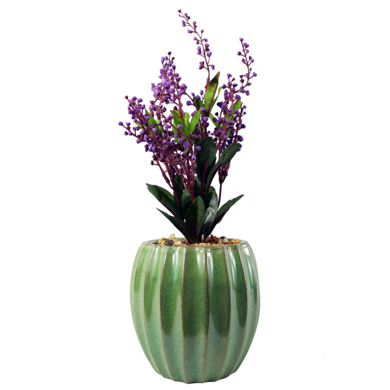 Annistin Arrangement in Planter
