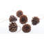 15cm Wood Holiday Shaped Ornament-185518853