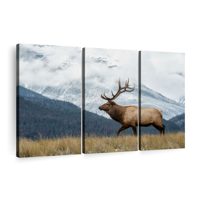 «Mountain Bull Elk», 3 pièces sur toile, H 20 po x l 33 po x P 1,25 po