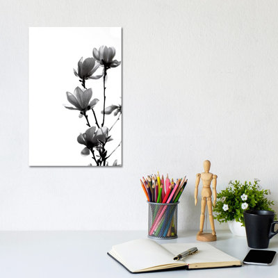 Black Magnolia 1 Piece Wrapped Canvas Wall Art