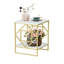 Lokendra Frame End Table