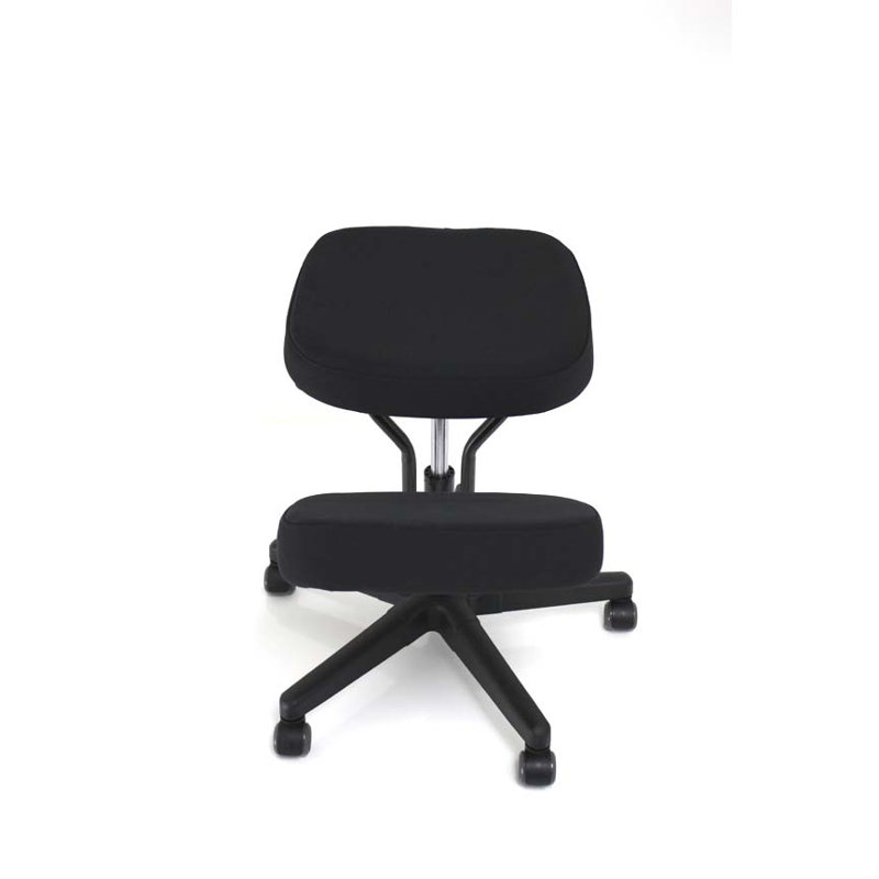 Fauteuil à hauteur réglable Wasson Plus
