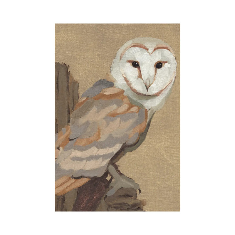 Common Barn Owl Portrait I by Jacob Green - Wrapped Canvas Print, 20.32 cm H x 30.48 cm W