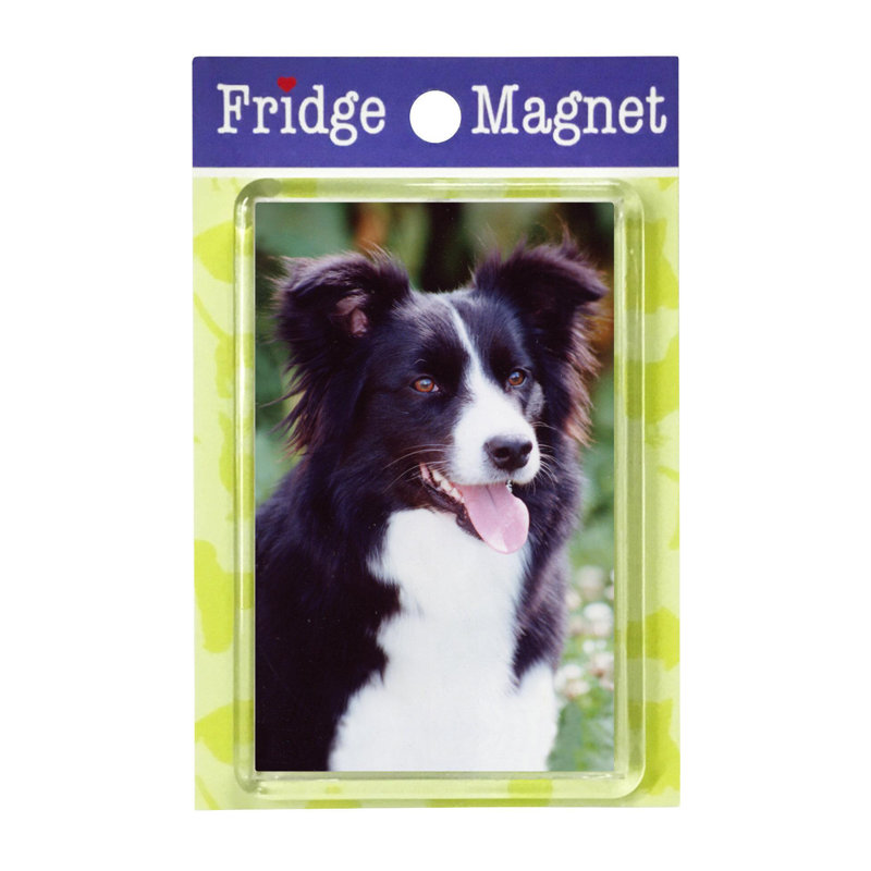 Fridge Magnet