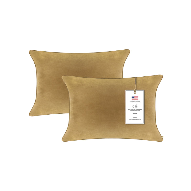 A1HC Velvet Down-Alternative Throw Pillow Inserts – Hypoallergenic, Ready-to-Use, Set of 2, Irish Coffee, 12'' H X 20'' W