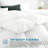 All Season Feather Down Duvet Insert/ Comforter -1735982784
