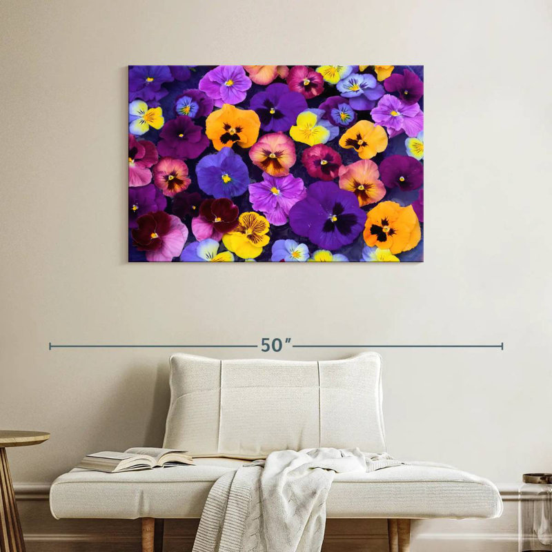 Couleurs Harnek Pansy