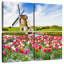 Moulin à vent et tulipes Alvord Holland-109134713