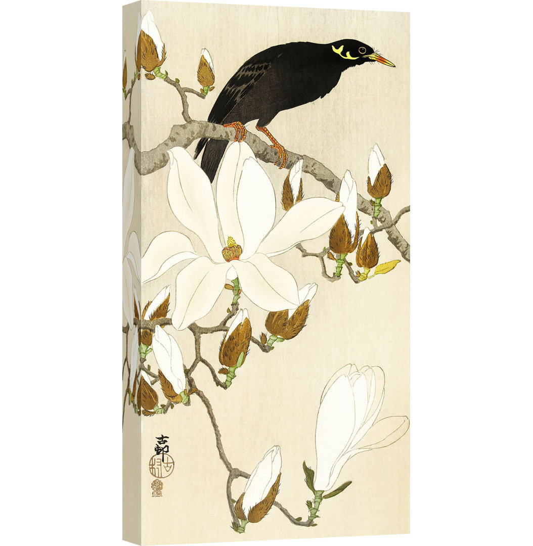 Leinwandbild Myna On Magnolia Branch von Ohara Koson