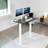 VIVO Single Motor Electric Desk with Push Button Memory Controller-97735778-97735779