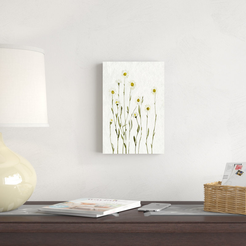 Marguerites blanches antiques I, H 12 po x l 8 po