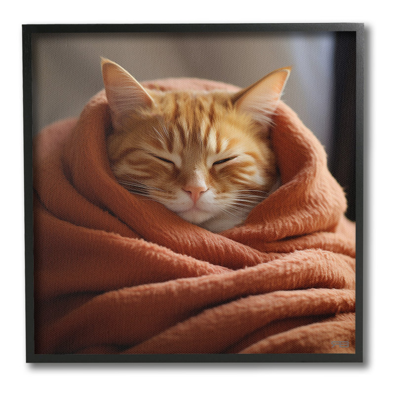 «Cuddling Sleepy Cat», art de la giclée encadrée par RB, Estampe numérique Farmhouse, H 24 po x l 24 po