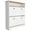 Range-chaussures, une tablette ouverte, deux armoires extensibles-93836556