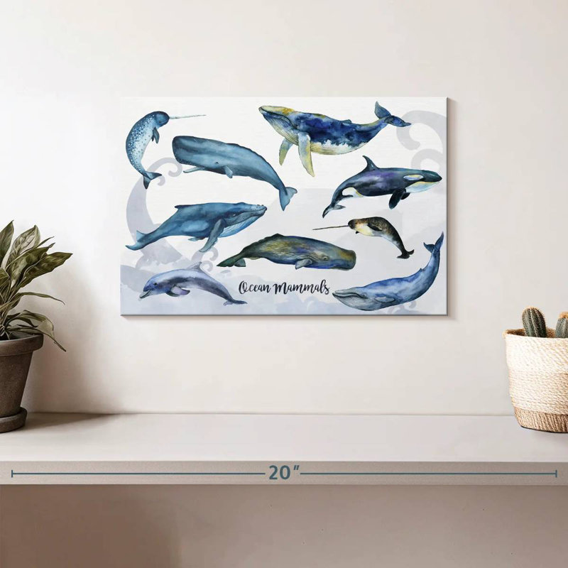 Brampt Ocean Mammals Chart, 8" H x 12" W