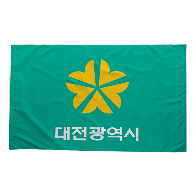 Drapeau de la ville de Daejeon — Drapeau extérieur, H 24 po x l 36 po