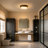 11.8in 24W LED FLush Mount Ceiling Light