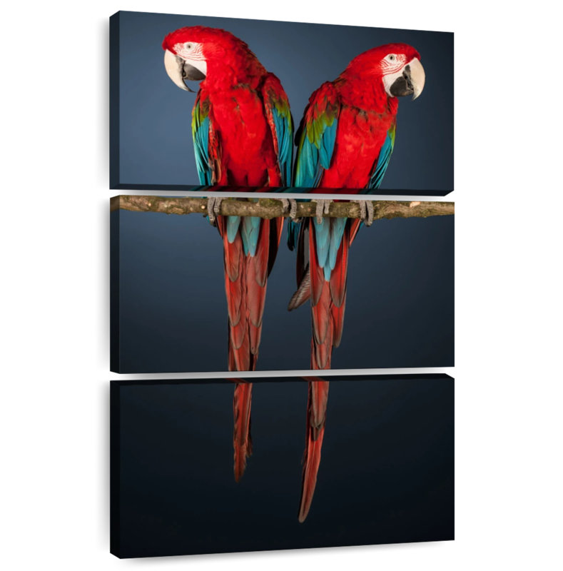 Brampt Red Green Macaws, 57" H x 36" W