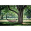 Abelina Double Spreader Bar Hammock with Stand-592605186