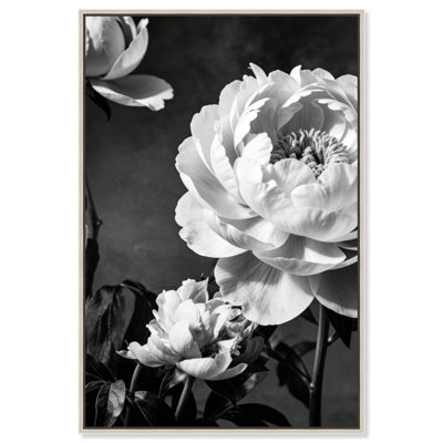 Still Peony Print by Oliver Gal