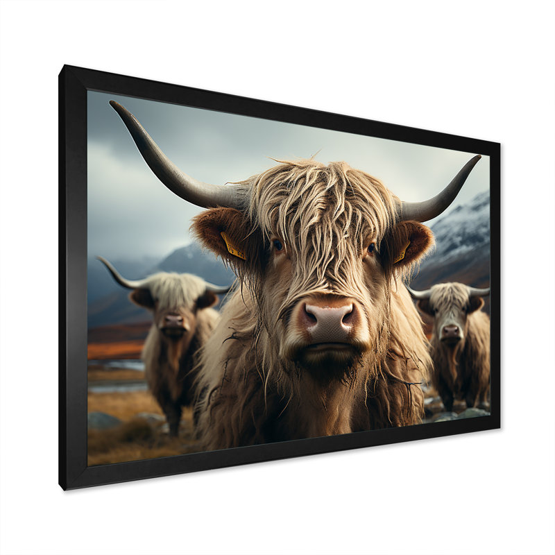 Majestic Highlands Yaks sur toile, H 30 po x l 40 po x P 1,5 po, Cadre simple noir