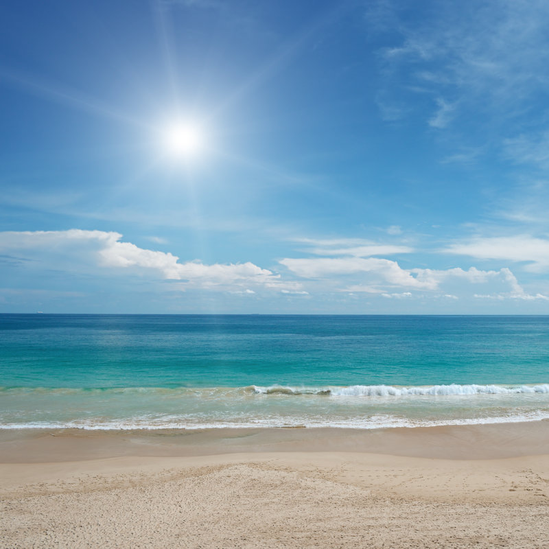 Sandy Beach by Serg_Velusceac - Wrapped Canvas Print, 122cm H x 122cm W x 3.8cm D