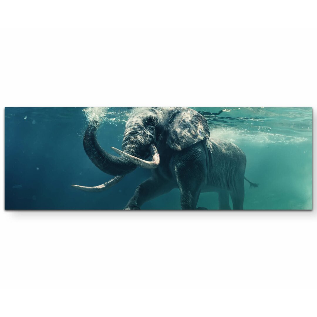 Leinwandbild Schwimmender Elefant