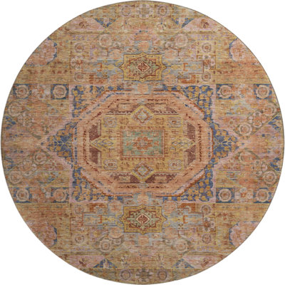 Premium Machine Washable Lubbers AMF1743 Global Rug