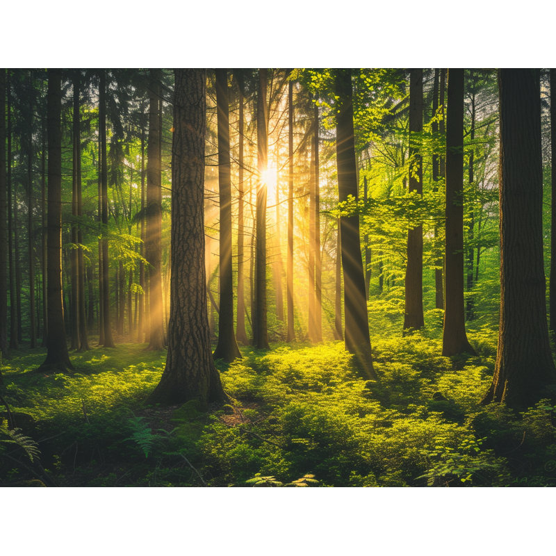 Forest Nature Warm Shower Curtain, 83" H x 70" W