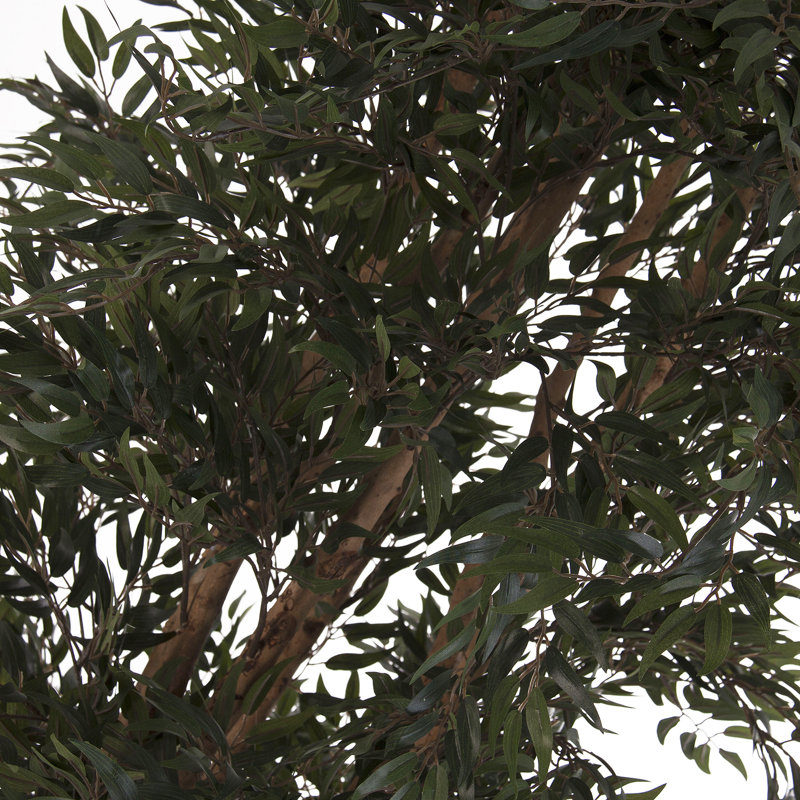 Helecho 210cm Foliage Tree in Pot