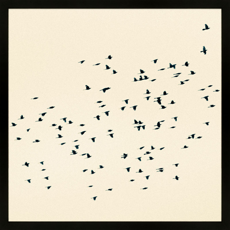 Soaring by Peter Dušek, Black, 44" H x 44" W x 1.25" D