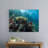 Clownfish Swimming over a Coral Reef-652645441