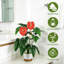 Arbre artificiel plante tropicale, pot de fleur blanc, arbre artificiel, bureau à la maison, salon, maison de campagne, arbre décoratif moderne, pas d'arrosage, arbre artificiel