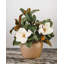 Feuilles de magnolia artificielles 35,5 cm