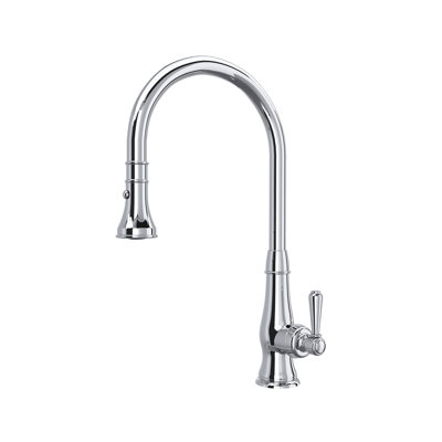 Patrizia™ Pull Down Single Handle Kitchen Faucet with Accessories
