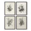 «Vintage Floral Print», impression encadrée, ensemble de 4-749230456-749230455