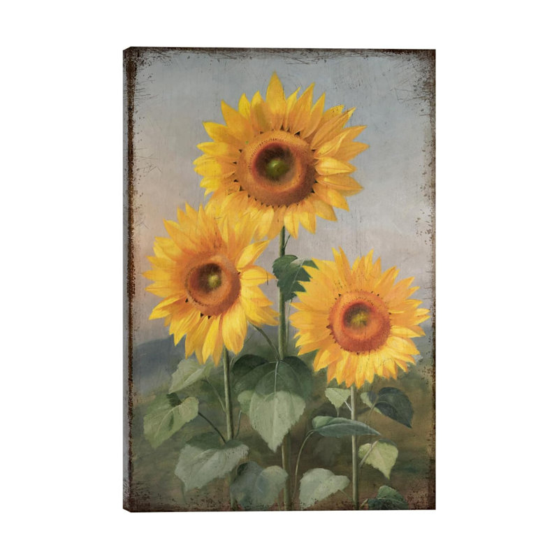 Vintage Sunflower