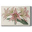 Toile tendue Amaryllis Varietals I-Gallery-1358055594