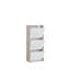 Raiana 12 Pair Shoe Storage Cabinet