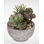 Faux Succulent in Stone Pot