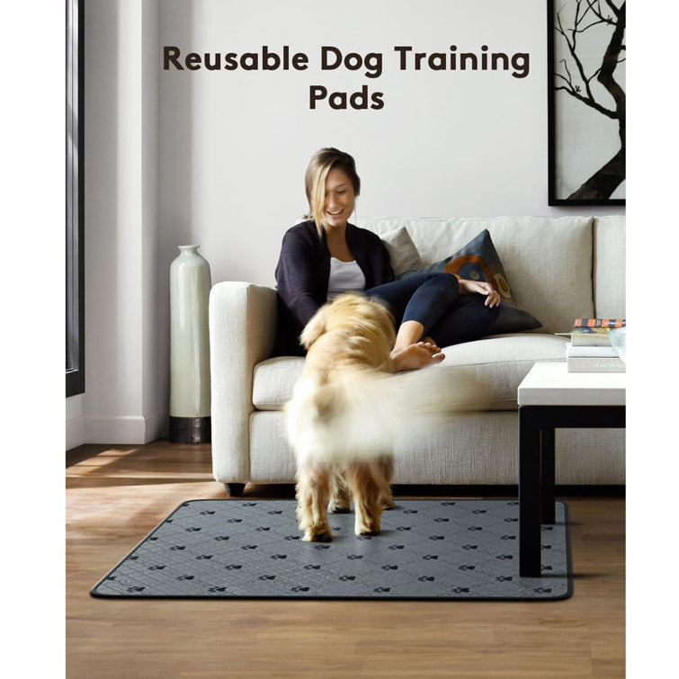 https://assets.wfcdn.com/im/36198472/resize-h755-w755%5Ecompr-r85/2538/253873465/Reusable+Pee+Pads+For+Dogs%2C+Washable+Puppy+Pee+Pads+Waterproof+Dog+Training+Pads%2C+Fast+Absorbent+Pet+Pads+For+Dog+Bed+Mats%2C+Anti-Slip+Pet+Training+Pads+With+Hook%26Loop+Pet+Supplies%2C23.6X17.7Inch-4+Pack.jpg