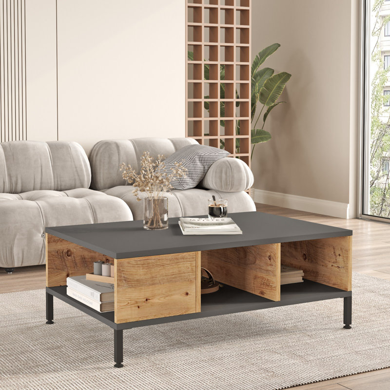 Roshaad Modern Coffee Table, Atlantic Pine & Anthracite, 35.4 x 13.0 x 23.6 inches | 100% Melamine Coated Particle Board, Thickness: 0.7 inches | Sleek Industrial Design, Perfect for Living Room & Contemporary Spaces
