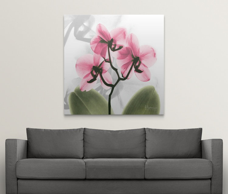 «par albert koetsier,, reproduction de photo Orchid X-Ray, H 35 po x l 35 po x P 1,5 po, Toile