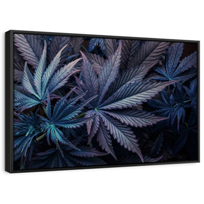 Floral And Botanical " Purple Marijuana Leaves Canvas Print "