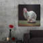 " More Carrot Please " by Lucia Heffernan-1627889040