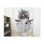 No Frame Print on Canvas-771387602