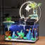Aquarium en verre-252688410