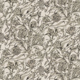 Wandervine - Newsprint Beige Botanical Wallpaper